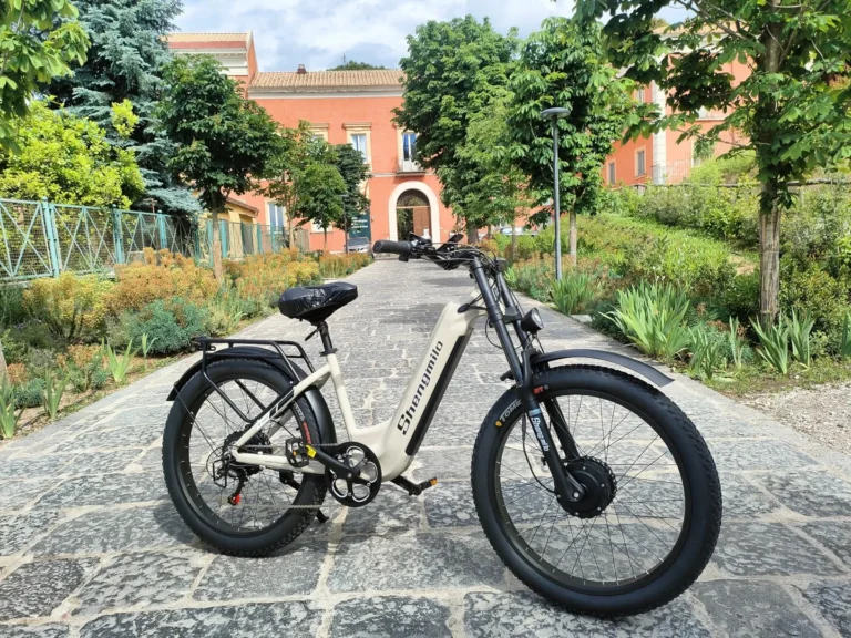 Lorenzo Parisi review image for Shengmilo S700