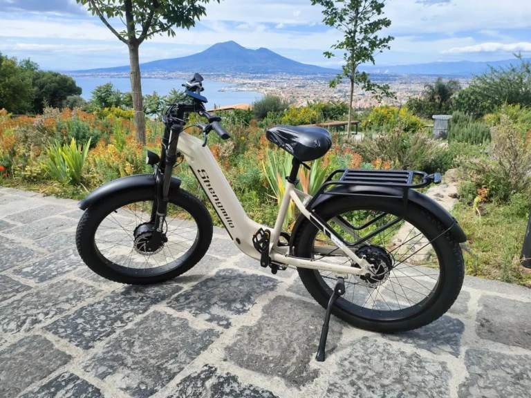 Lorenzo Parisi review image for Shengmilo S700