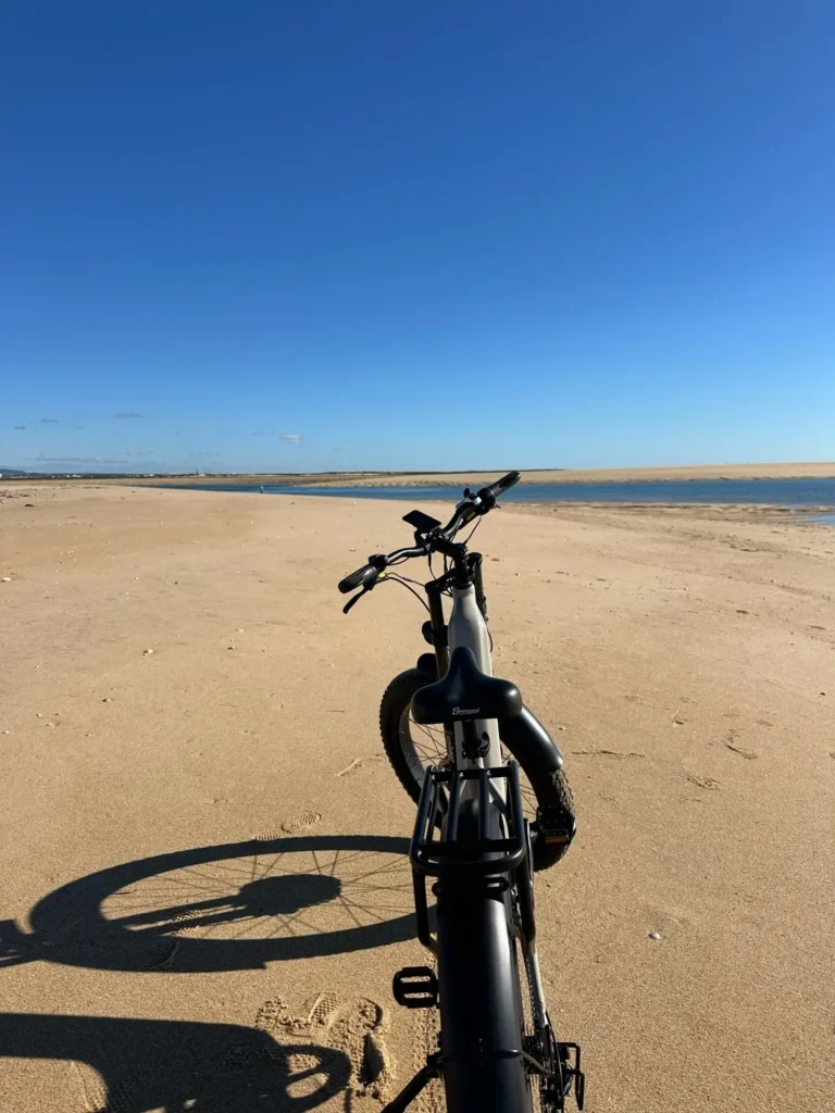 Shengmilo S700 e-bike hardtail per sterrato leggero e borse in Italia
